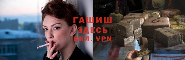 хмурый Белокуриха