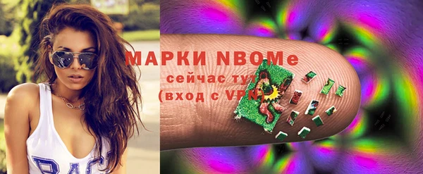 хмурый Белокуриха