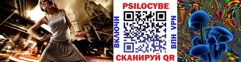 MEGA сайт  Бородино  Псилоцибиновые грибы Psilocybe 