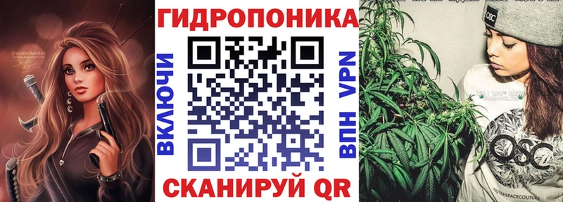 Бошки Шишки MAZAR Бородино